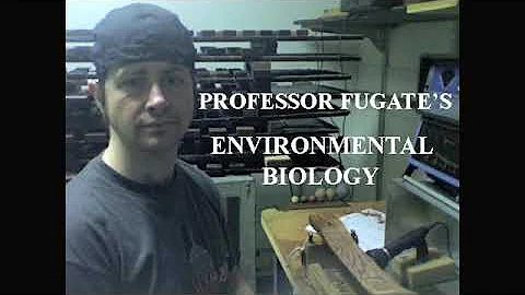 2.3 COMMUNITY ECOLOGY