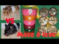 Hamster cute - Su Hào &amp; Bắp Cải thi đấu vượt mê cung 6 cấp | Hamster in maze 6 levels