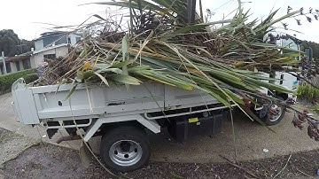 How to remove flax plants with excavator bucket and thumb fast? TASSIE ARTIFICIAL TURF #digger
