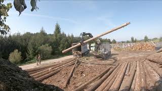 Container loading with log     Загрузка контейнера с бревном