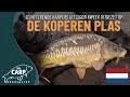🎉 Schitterende karpers uit eigen kweek uitgezet op De Koperen Plas 🎉