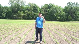Maizex Moving | Tracking and Managing Nitrogen