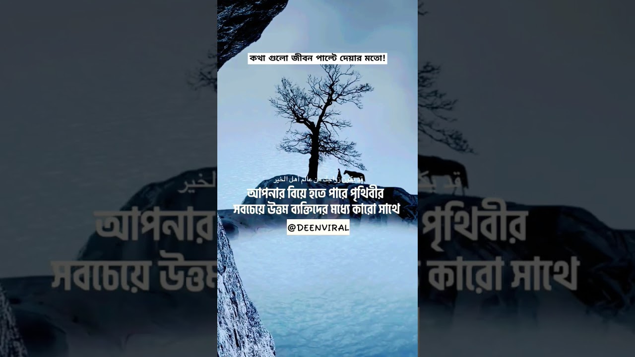 কিছু শ্রেষ্ঠ বাণী! 