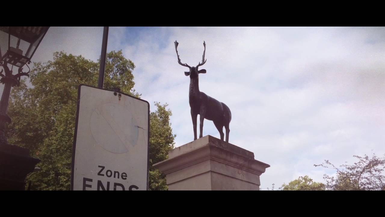 Obejrzyj Valor Interior - Lobos w YouTube Obejrzyj Valor Interior - Lobos w YouTube