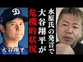 大谷選手の通訳が違法賭博に関与…大谷選手への影響についてお話します【 水原一平 賭博 ギャンブル依存 大谷翔平 】