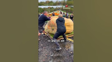 Người đàn ông tò mò bên trong quả bí ngô