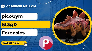 picoGym (picoCTF) Exercise: St3g0