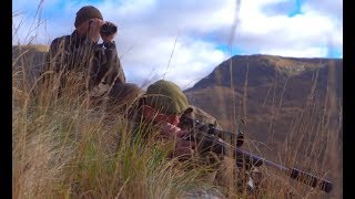 What Is The Best Calibre For Stalking In The Highlands?