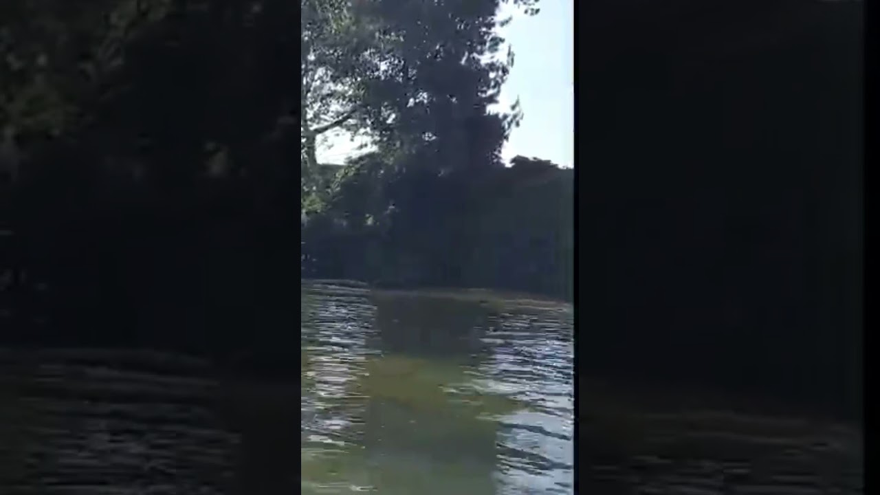 Boating in Ooty hill station great experience. Beautiful Artificial lake in ooty.