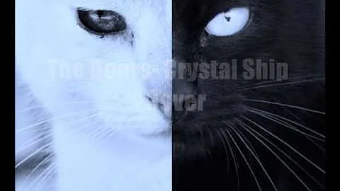 The Crystal Ship - The Doors  (Cover by Eric LaFave