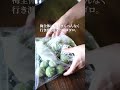 初めてでも簡単に作れるカリカリ梅をぜひ😳#梅仕事 #青梅#ジップロック