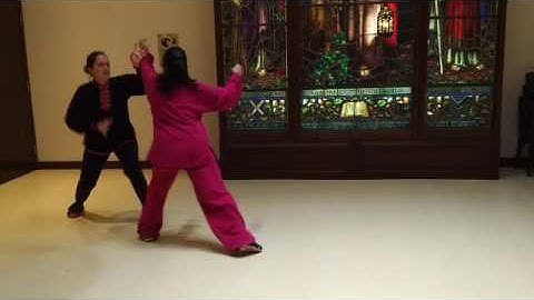 Northern Shaolin Tantui Basic Combat Sequence 8