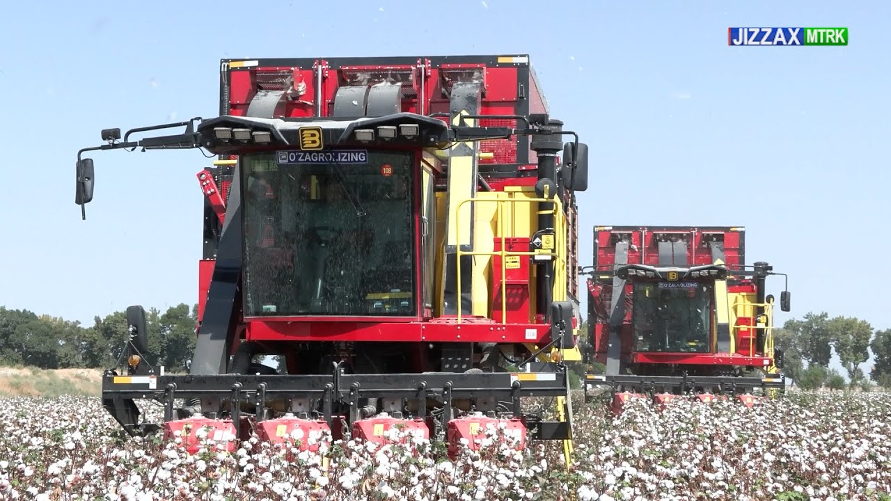 Paxtazorlar bag‘rida mehnat qizg‘in pallada. I Maxsus reportaj (08.10.2025)