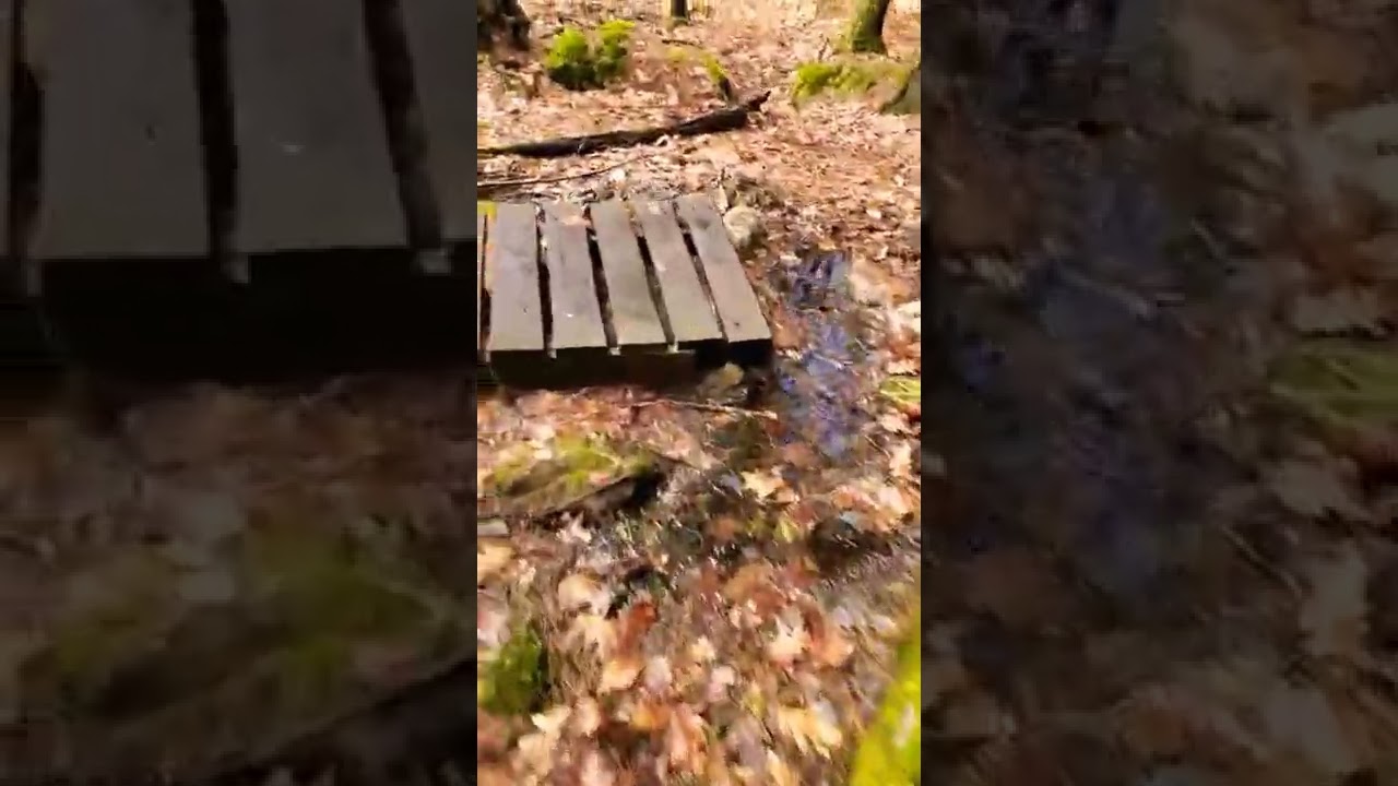 Pulpit Rock Trail in New Boston, NH