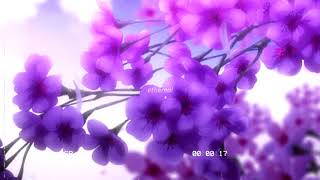 All I Want  Olivia Rodrigo slowed  Reverb