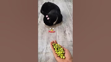 Cute Cat ASMR 💛🎉 Satisfying Reverse Cat Beads #shorts #cutecat