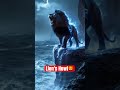 Hurlement Du Lion Lion Lionattitude Shorts Hurlement Du Lion Lion Lionattitude Shorts