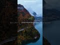 [Subscribe] The Nights X Nature(Lyrics) #travel #nature #aesthetic #feed #viral #foryou #short #feel