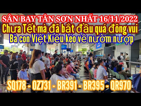 Video Sân bay Tân Sơn Nhất 16/11/2022. Bất ngờ Việt Kiều kéo... - youtube