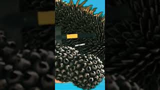 Maggot Remove shorts asmr satisfying animation