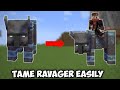 How to tame and ride a ravager  minecraft tutorial