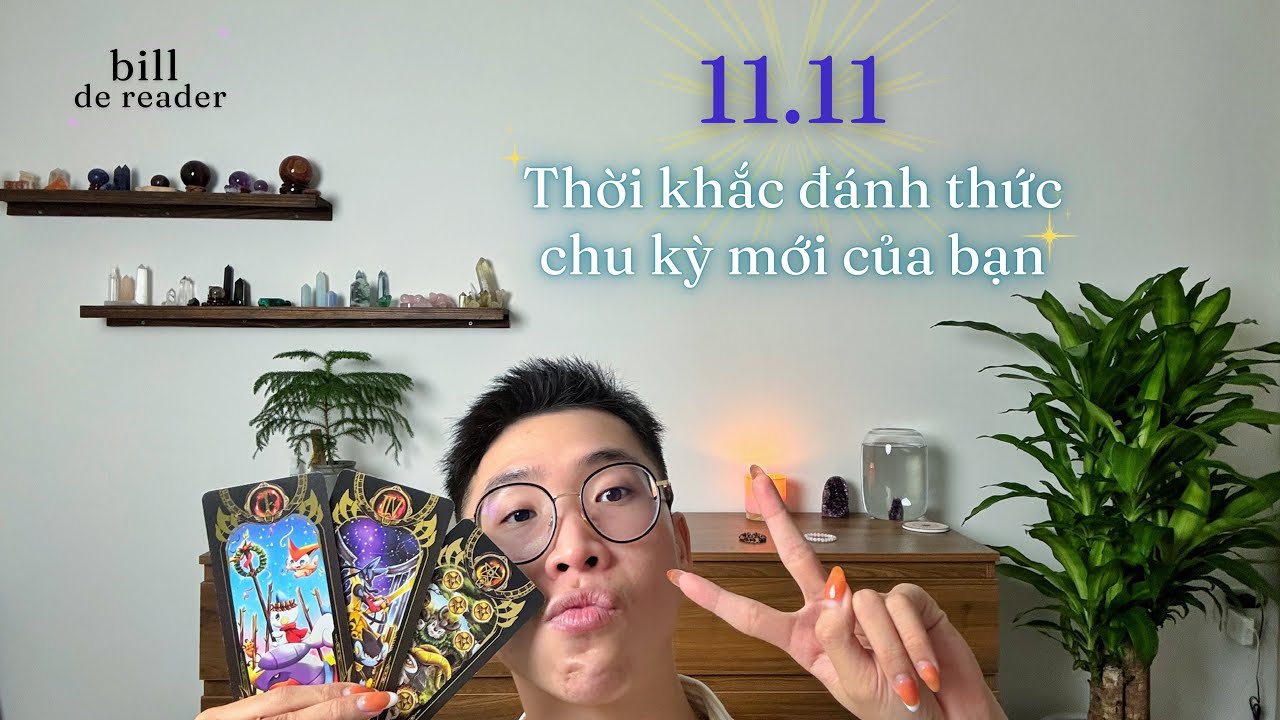 Thông Điệp 11.11 ☀️ Dành Riêng Cho Bạn | tarot 🔮