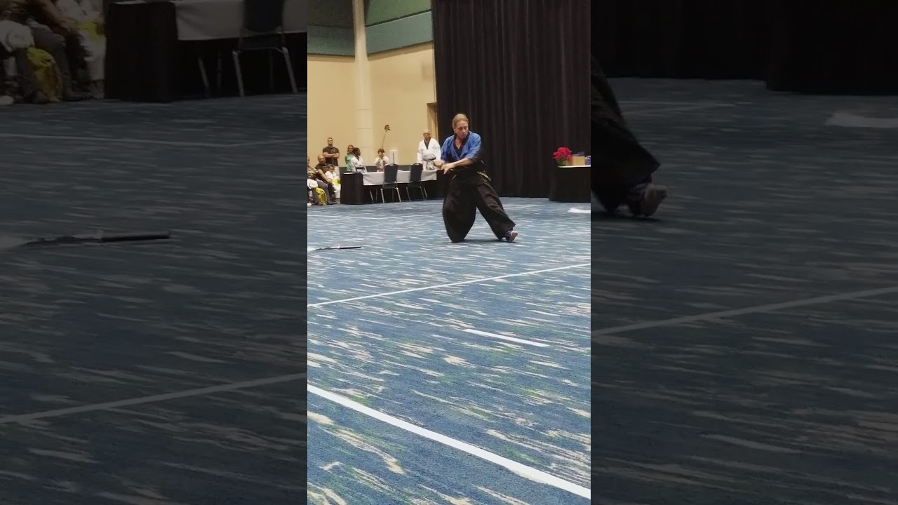 2017 World Martial Arts Championship YouTube