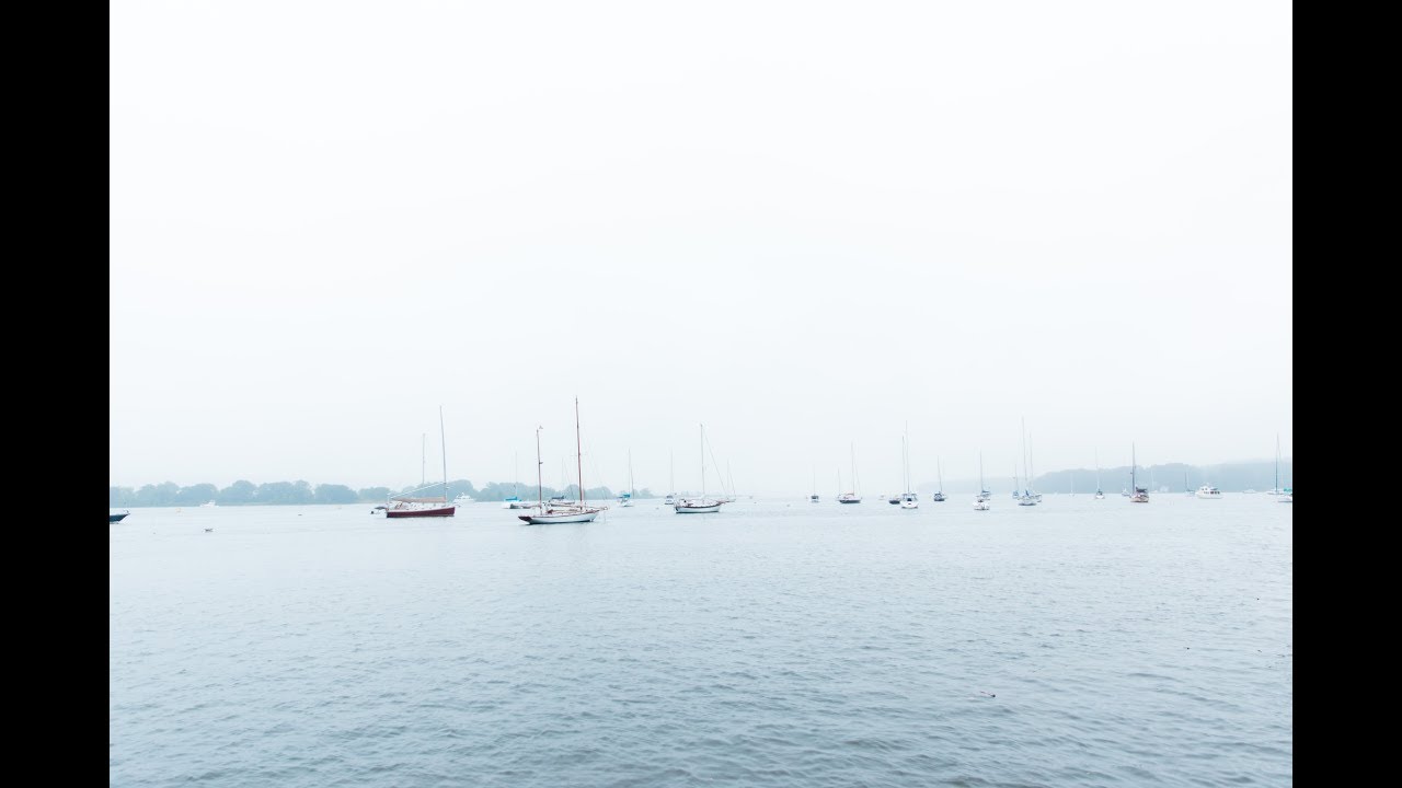 Wedding photographer in New Haven