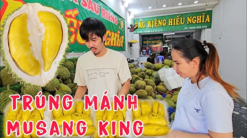 Sầu riêng Musang King Giảm Giá Khách Chốt Liền 4 Trái Dũng Dê Khui Quá Mê.