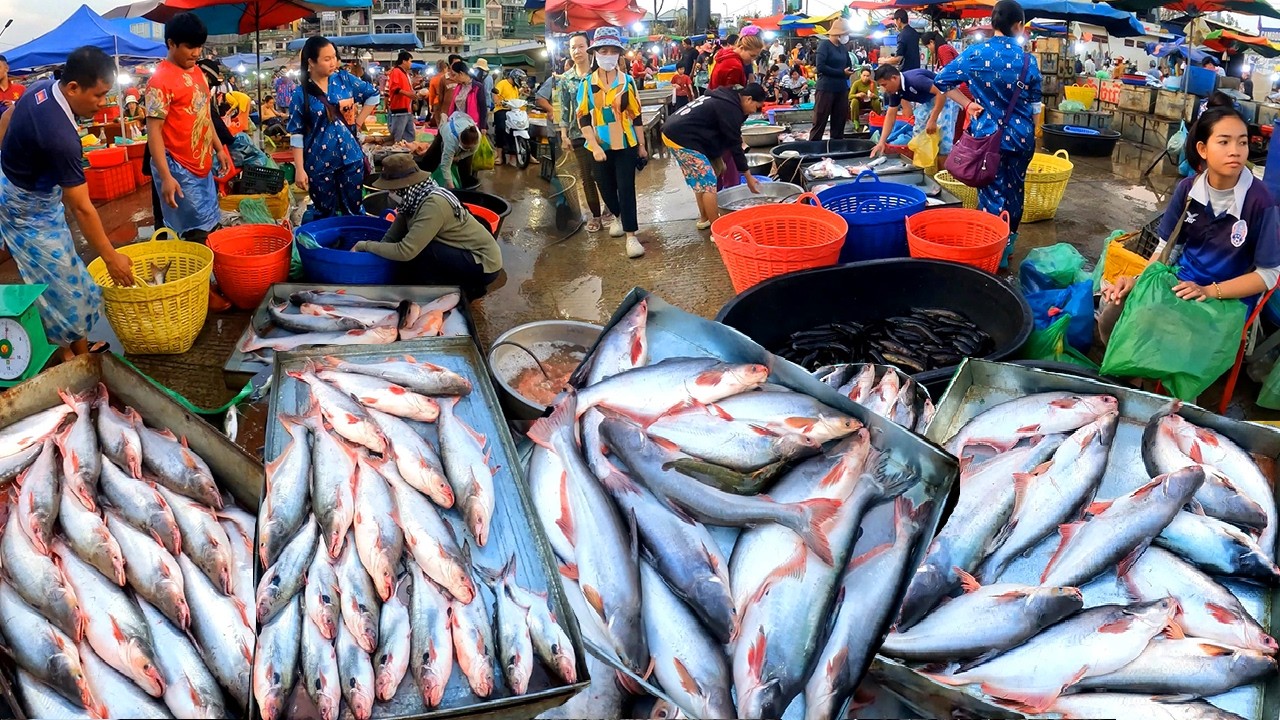 Cambodia Fish Distribution Market, Fish Jumping out Tank, Freshwater Fish, Wet Markets Abundant Fish