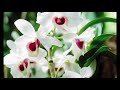 Ngày 04.01.2018: Giúp nhau gặp Chúa