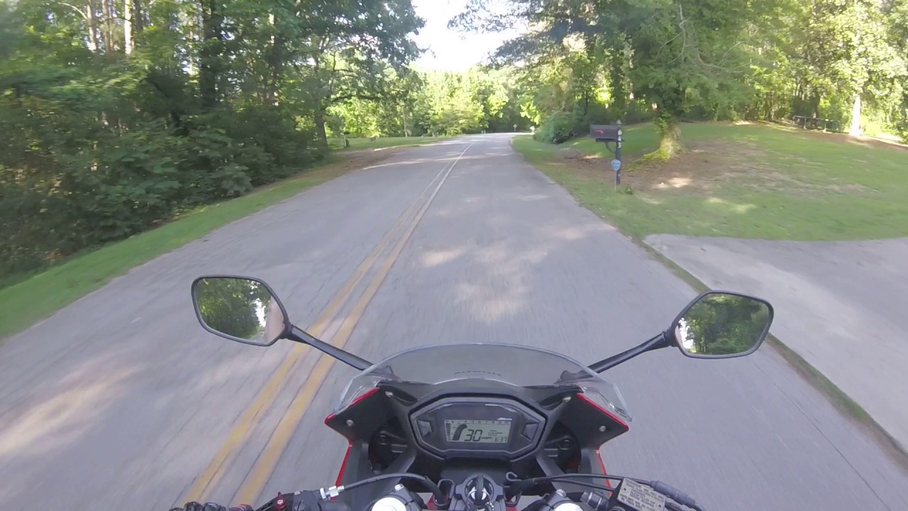 Neighbor's dog chasing motorcycle YouTube