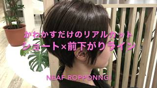 ショートヘア 頭の形がキレイに見えるショートカット Haircut ヘアカット Neaf 六本木 犬塚優介 Youtube