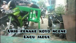 Urib penak e koyo ngene