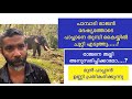 Pampady Rajan ദേഷ്യത്തിൽ പാപ്പാനെ തുമ്പികൈയ്യിൽ ചുറ്റിഎടുത്തു #pampadyrajan#vmpradeepmedia#nattana#