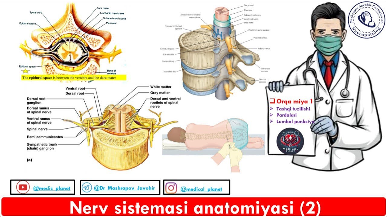 U mast holda olganida behuda