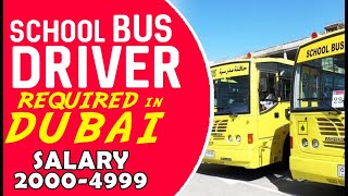 School Bus Driver Required In Dubai How To Apply Driver Jobs In Dubai Uae