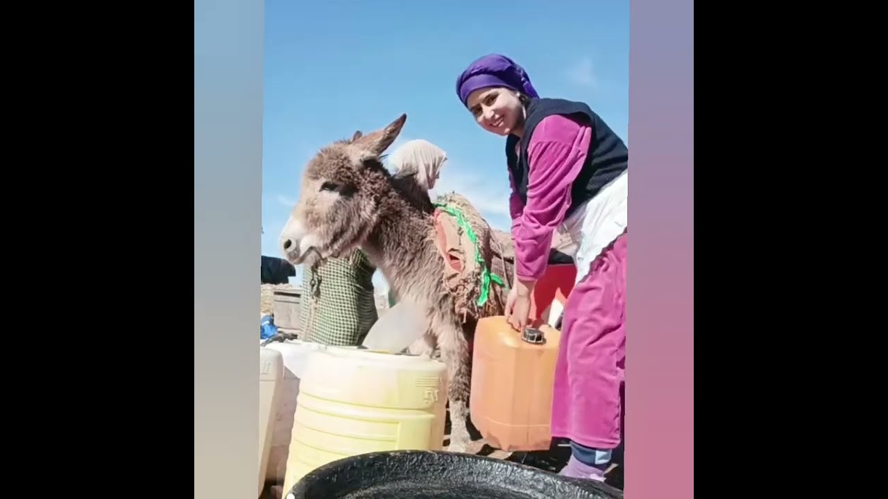 نجيب لماء انا حمارتي المشاغبة