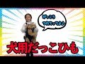 エルくんが大好きな犬用抱っこひも♪エルくんリラックスしちゃってますw