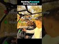 Funniest horse moment