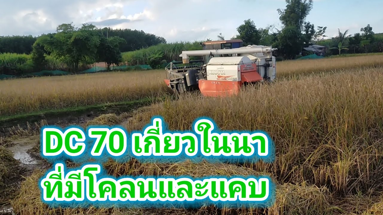 เกี่ยวข้าวในนาที่มีโคลนและพื้นที่แคบ EP 56/69