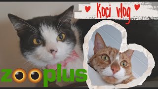 Zooplus 🐾 Toys 😻 Food 😻 Accessories 😻 9 things your cat must have 🐾 cats and 🐶 @kociaranaluzievlog