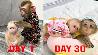 What will be Monkey Kaka's feelings for Monkey Mit in 30 days?