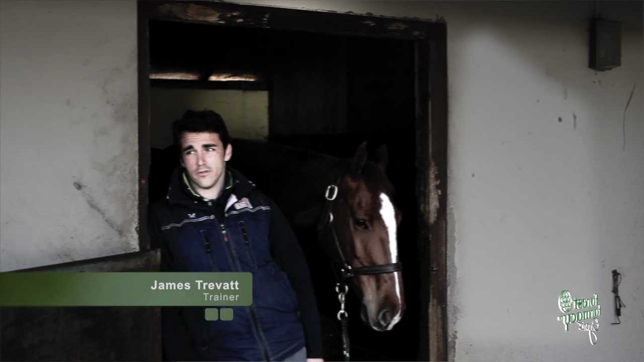 James beats his horses sarcoids with alkalising herbs