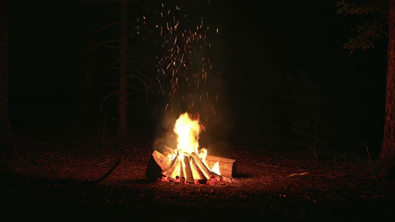 Deep Sleep Campfire | Peaceful Forest Night Ambience