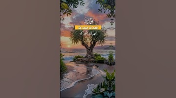 #quran #اذكار #قرآن_كريم #تلاوة_خاشعة #islam #دعاء_الصباح #دعاء #اذكار_الصباح