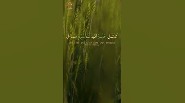 قرآن كريم | ما تيسر من سورة البقرة | بصوت خاشع وارئع | القارئ رزكار محمد الكردي