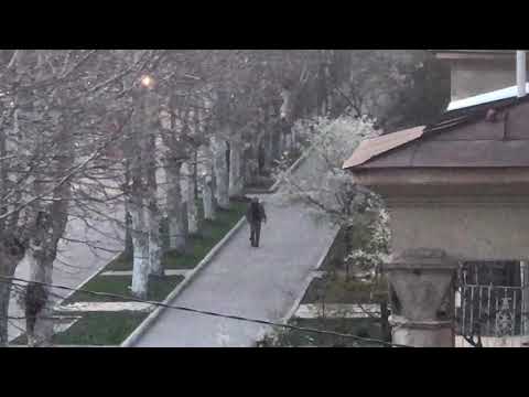 „ბავშვი გადამალეთ“ - სალომე თინიკაშვილი, 2020