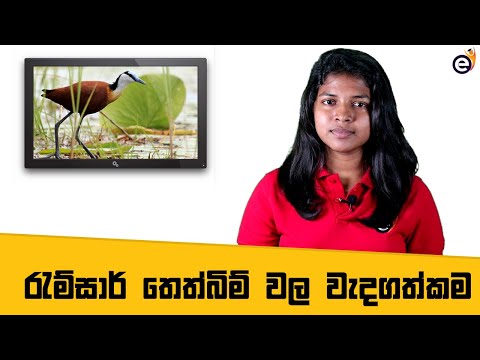 The Importance of Ramsar Wetlands (Anawilundawa) | ආනවිලුන්දාව අපට වැදගත් ඇයි? (Sinhala)