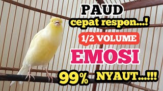 Kenari gacor angkat Emosi NGEROL TAJAM TERAPI AMPUH Kenari MACET Pancingan Kenari Paud Belajar Bunyi